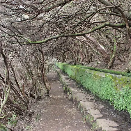 Flh Garajau Balcony With Pool * كانيكو