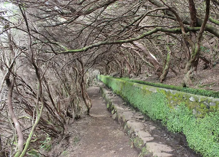 Flh Garajau Balcony With Pool * Caniço